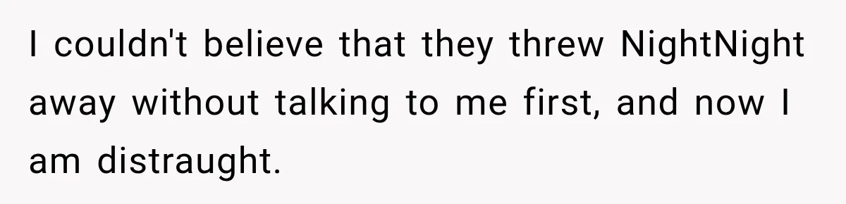 I couldn't believe that they threw NightNight away without talking to me first, and now I am distraught.