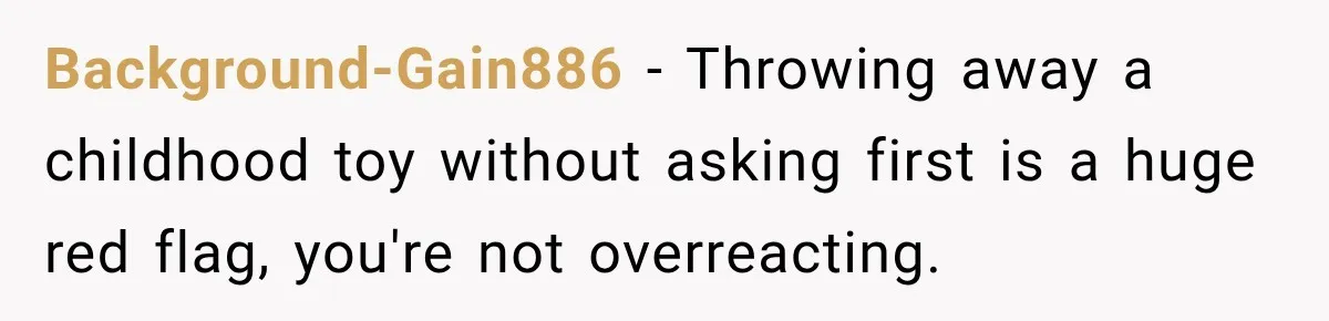 Background-Gain886 − Throwing away a childhood toy without asking first is a huge red flag, you're not overreacting.