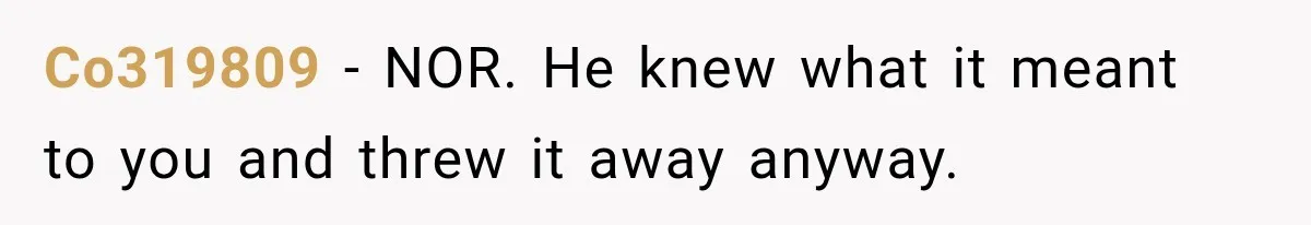 Co319809 − NOR. He knew what it meant to you and threw it away anyway.