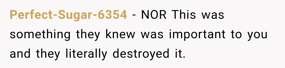 Perfect-Sugar-6354 − NOR This was something they knew was important to you and they literally destroyed it.