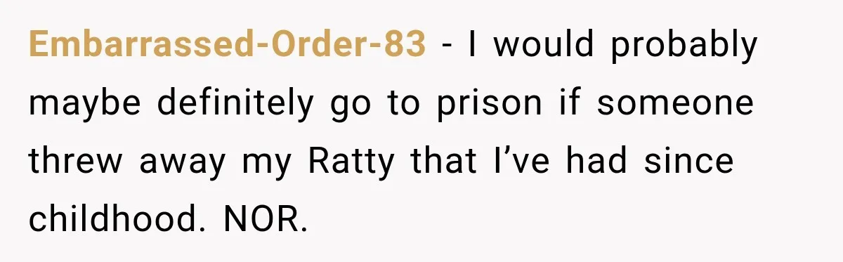 Embarrassed-Order-83 − I would probably maybe definitely go to prison if someone threw away my Ratty that I’ve had since childhood. NOR.