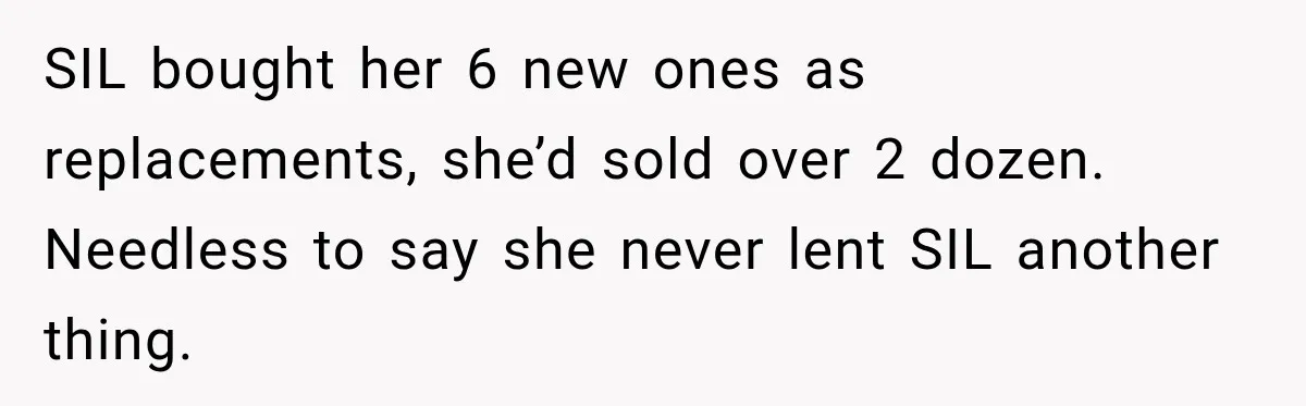 SIL bought her 6 new ones as replacements, she’d sold over 2 dozen. Needless to say she never lent SIL another thing.