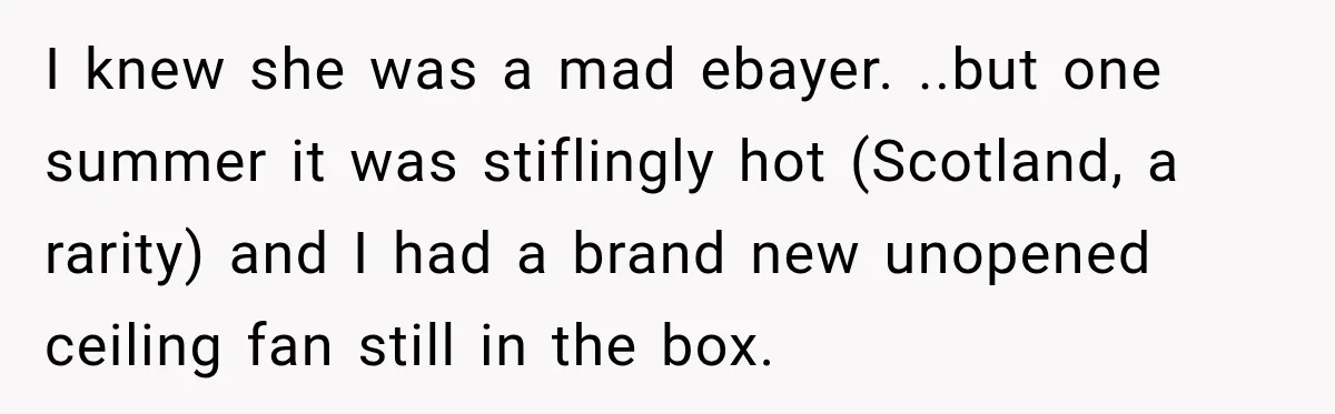 I knew she was a mad ebayer. ..but one summer it was stiflingly hot (Scotland, a rarity) and I had a brand new unopened ceiling fan still in the box.