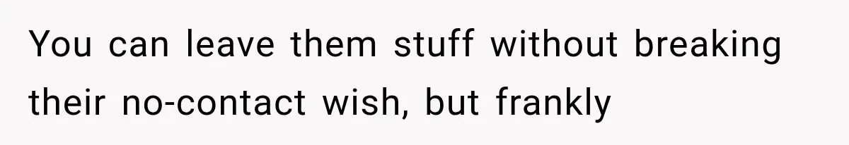 You can leave them stuff without breaking their no-contact wish, but frankly