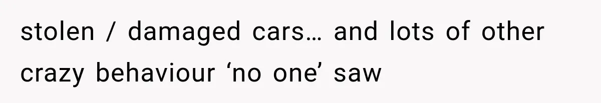 stolen / damaged cars… and lots of other crazy behaviour ‘no one’ saw