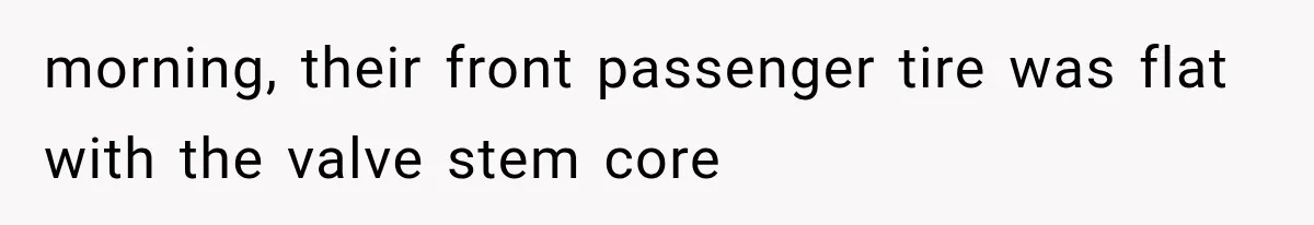 morning, their front passenger tire was flat with the valve stem core