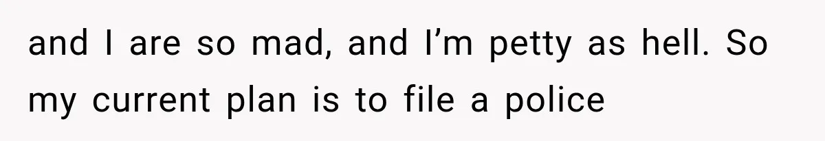 and I are so mad, and I’m petty as hell. So my current plan is to file a police