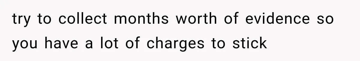 try to collect months worth of evidence so you have a lot of charges to stick
