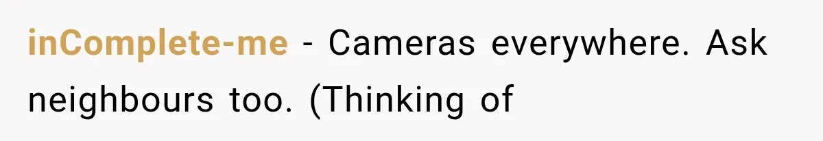 inComplete-me − Cameras everywhere. Ask neighbours too. (Thinking of
