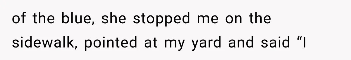 of the blue, she stopped me on the sidewalk, pointed at my yard and said “I