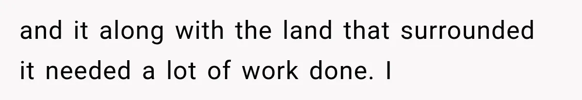 and it along with the land that surrounded it needed a lot of work done. I
