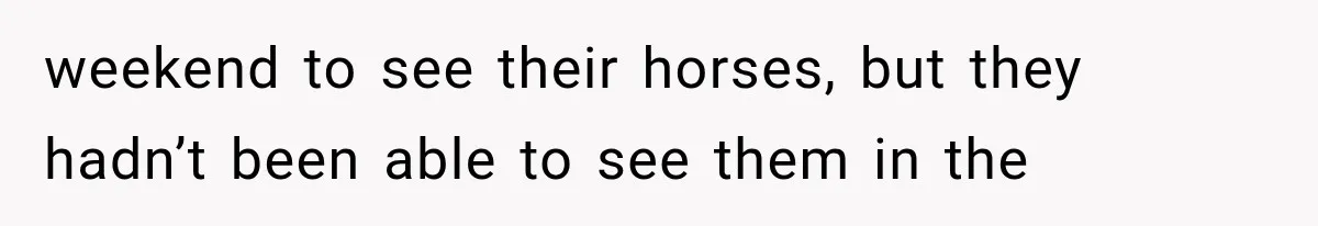 weekend to see their horses, but they hadn’t been able to see them in the