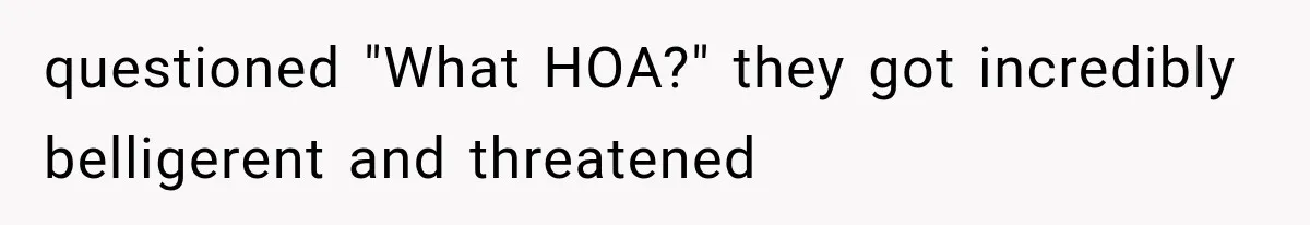 questioned "What HOA?" they got incredibly belligerent and threatened