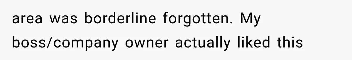 area was borderline forgotten. My boss/company owner actually liked this