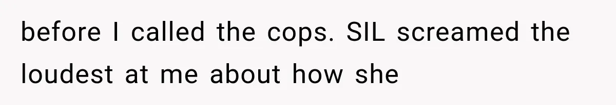before I called the cops. SIL screamed the loudest at me about how she