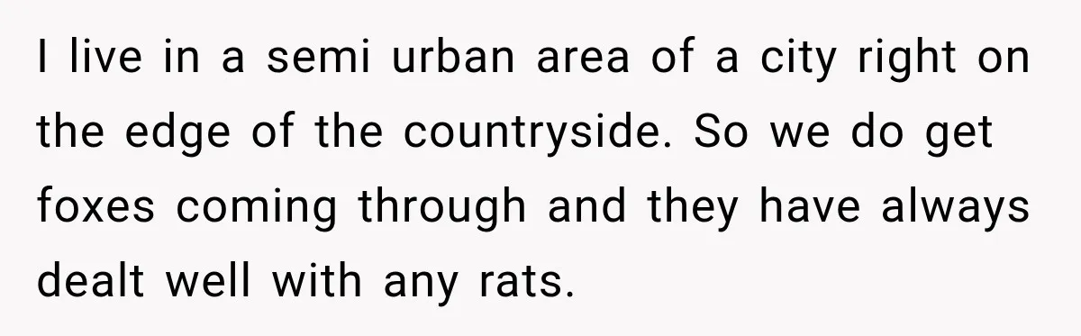 I live in a semi urban area of a city right on the edge of the countryside. So we do get foxes coming through and they have always dealt well...