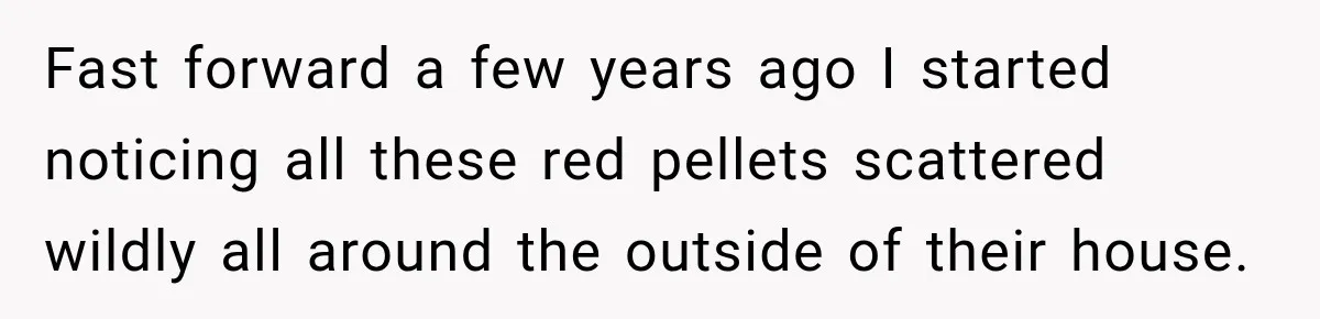 Fast forward a few years ago I started noticing all these red pellets scattered wildly all around the outside of their house.