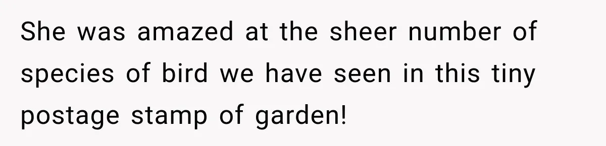She was amazed at the sheer number of species of bird we have seen in this tiny postage stamp of garden!