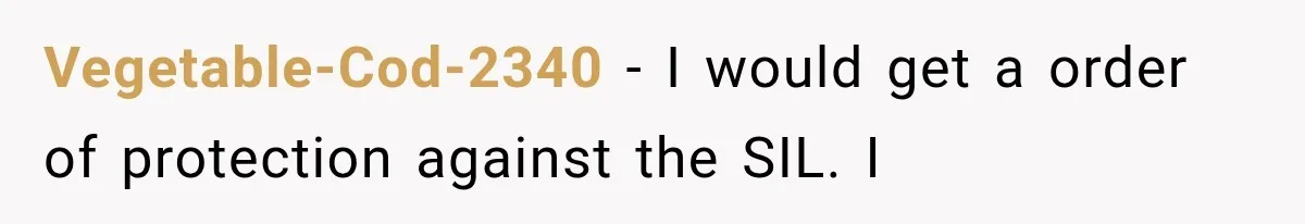 Vegetable-Cod-2340 − I would get a order of protection against the SIL. I