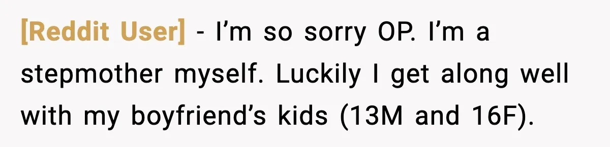 [Reddit User] − I’m so sorry OP. I’m a stepmother myself. Luckily I get along well with my boyfriend’s kids (13M and 16F).