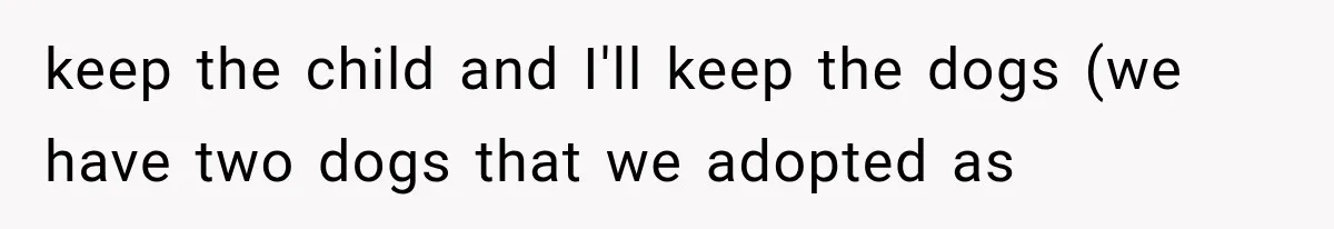 keep the child and I'll keep the dogs (we have two dogs that we adopted as