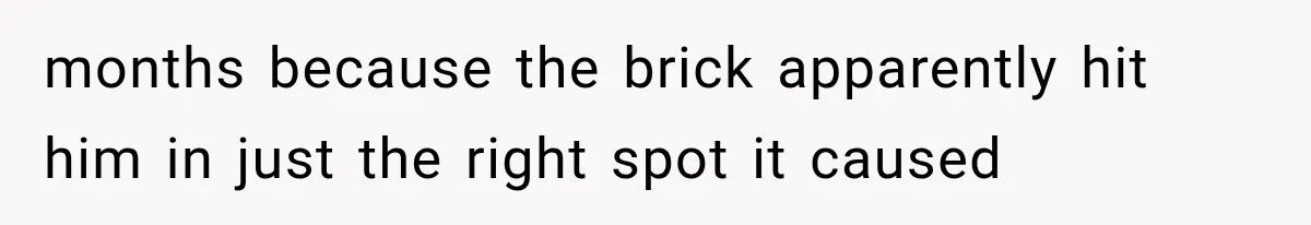 months because the brick apparently hit him in just the right spot it caused