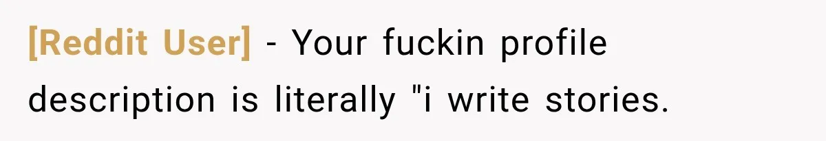 [Reddit User] − Your fuckin profile description is literally "i write stories.