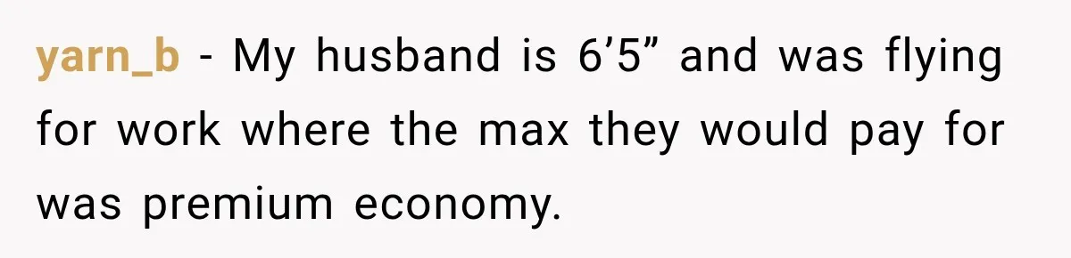 Woman Pretends To Sleep In A Stranger’s Plane Seat, Then Gets Called Out Before Takeoff yarn_b − My husband is 6’5” and was flying for work where the max they would pay for was premium economy.
