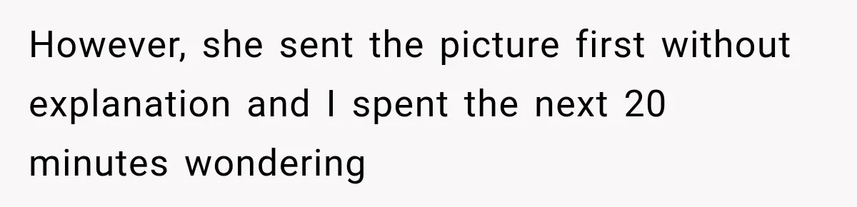 However, she sent the picture first without explanation and I spent the next 20 minutes wondering