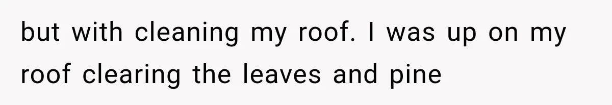but with cleaning my roof. I was up on my roof clearing the leaves and pine