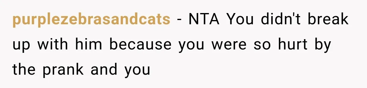 purplezebrasandcats − NTA You didn't break up with him because you were so hurt by the prank and you