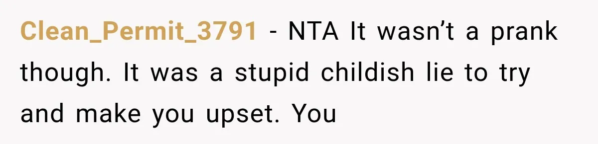 Clean_Permit_3791 − NTA It wasn’t a prank though. It was a stupid childish lie to try and make you upset. You