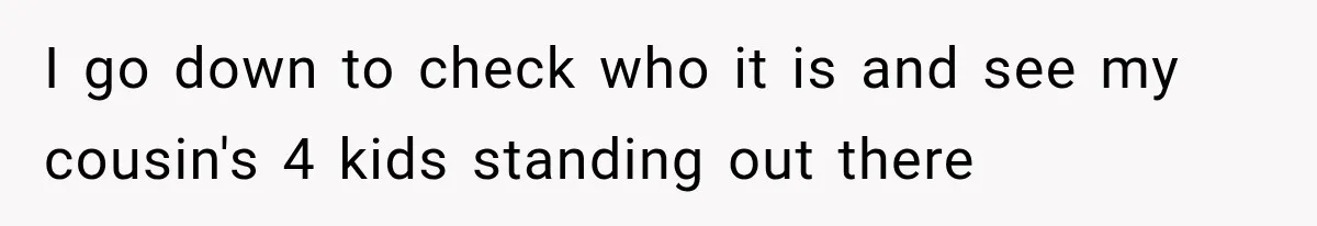 She Assumed Child-Free Relatives Would Babysit, But Her Plan Backfired Immediately I go down to check who it is and see my cousin's 4 kids standing out there