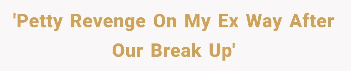 'Petty revenge on my ex way after our break up'