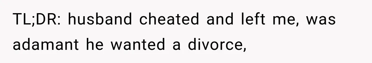 TL;DR: husband cheated and left me, was adamant he wanted a divorce,