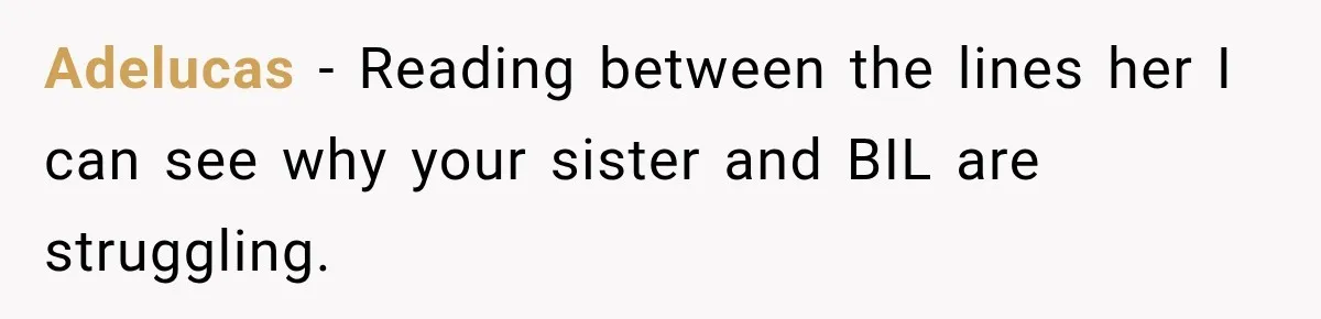 Adelucas − Reading between the lines her I can see why your sister and BIL are struggling.