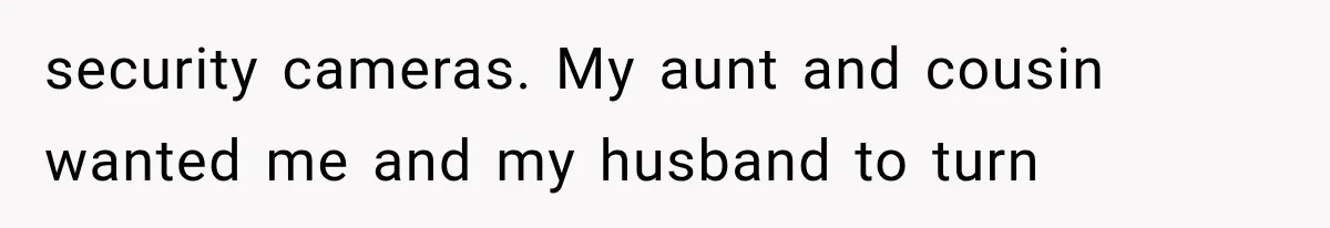 security cameras. My aunt and cousin wanted me and my husband to turn