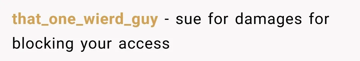 that_one_wierd_guy − sue for damages for blocking your access