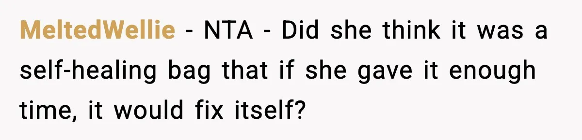 MeltedWellie − NTA - Did she think it was a self-healing bag that if she gave it enough time, it would fix itself?