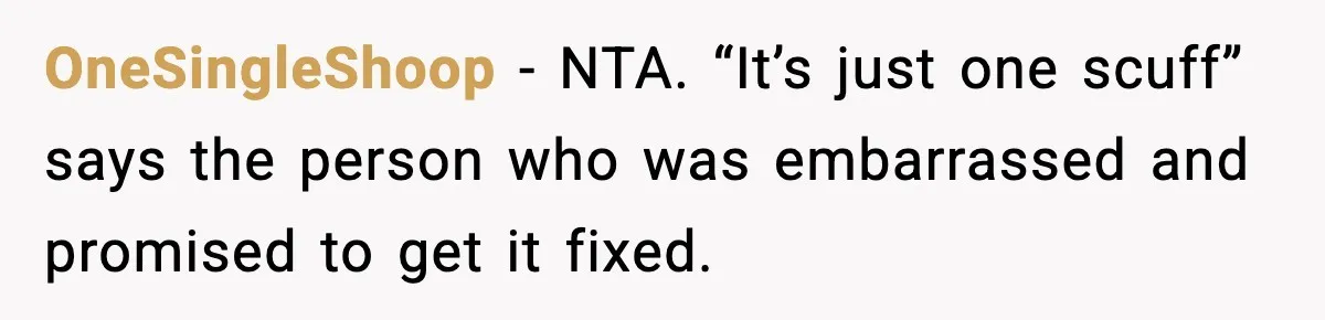OneSingleShoop − NTA. “It’s just one scuff” says the person who was embarrassed and promised to get it fixed.