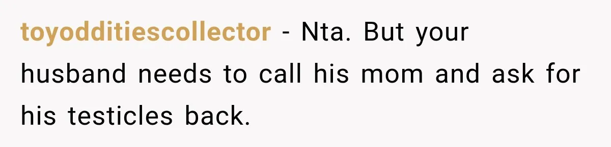 toyodditiescollector − Nta. But your husband needs to call his mom and ask for his testicles back.