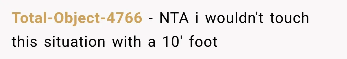 Total-Object-4766 − NTA i wouldn't touch this situation with a 10' foot