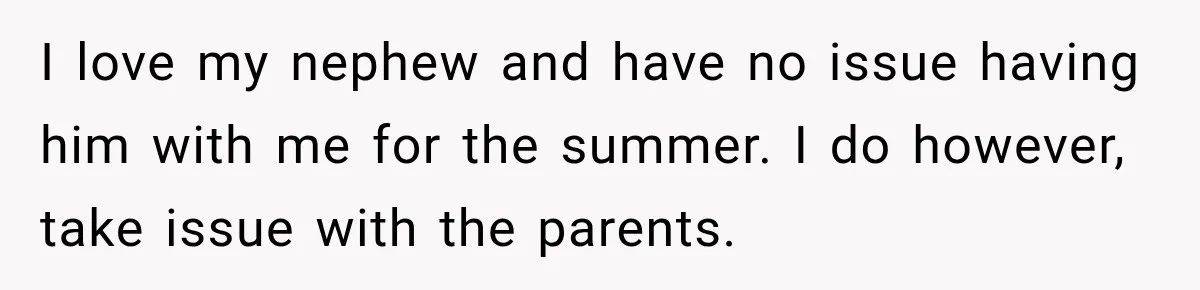 Aunt Refuses Free Summer Babysitting After Mom Assumes She’ll Pay For Everything Again I love my nephew and have no issue having him with me for the summer. I do however, take issue with the parents.