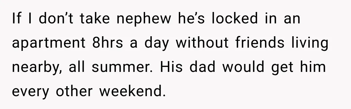 Aunt Refuses Free Summer Babysitting After Mom Assumes She’ll Pay For Everything Again If I don’t take nephew he’s locked in an apartment 8hrs a day without friends living nearby, all summer. His dad would get him every other weekend.