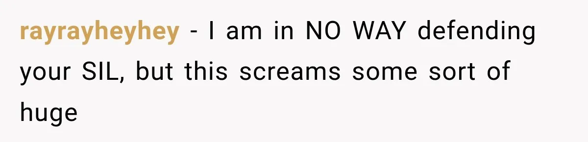 rayrayheyhey − I am in NO WAY defending your SIL, but this screams some sort of huge