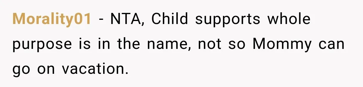 Aunt Refuses Free Summer Babysitting After Mom Assumes She’ll Pay For Everything Again Morality01 − NTA, Child supports whole purpose is in the name, not so Mommy can go on vacation.