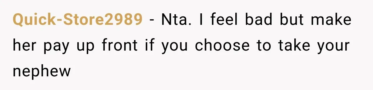 Aunt Refuses Free Summer Babysitting After Mom Assumes She’ll Pay For Everything Again Quick-Store2989 − Nta. I feel bad but make her pay up front if you choose to take your nephew