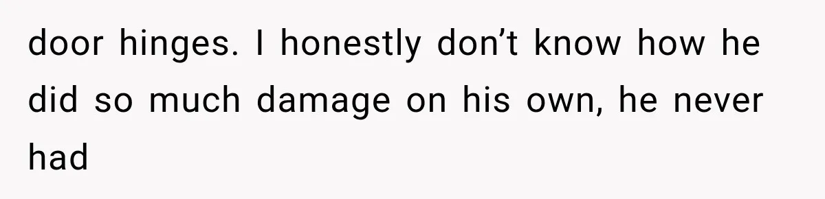 door hinges. I honestly don’t know how he did so much damage on his own, he never had