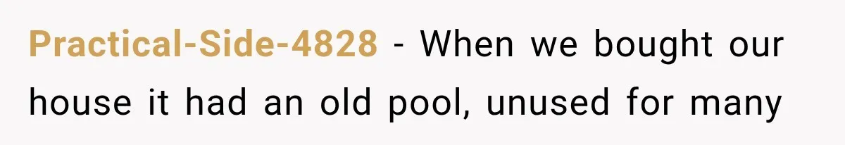 Practical-Side-4828 − When we bought our house it had an old pool, unused for many