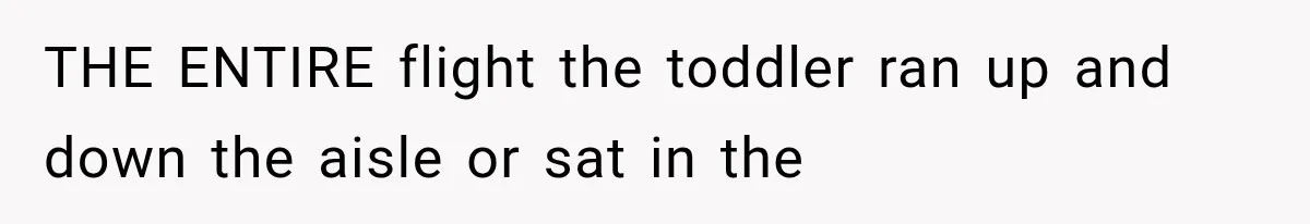 THE ENTIRE flight the toddler ran up and down the aisle or sat in the